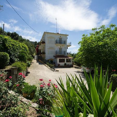 Agios Efrem Studios Parga Extérieur photo